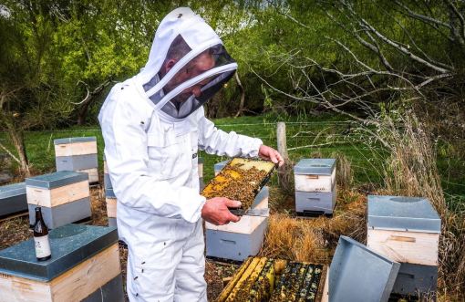 Natural Rata Honey - Image 3