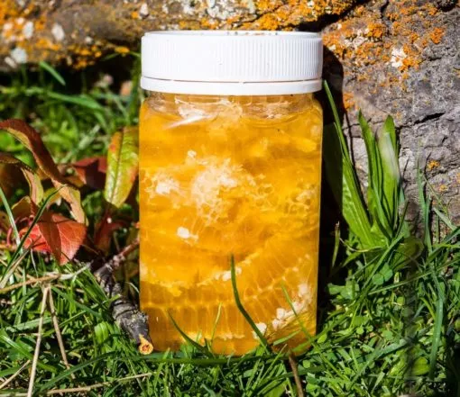 Clover Honey in Honeycomb made by Honey by Wrights in Central Otago, New Zealand-5