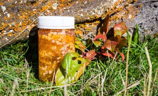 Manuka Honey in Honeycomb made by Honey by Wrights in Central Otago, New Zealand-2
